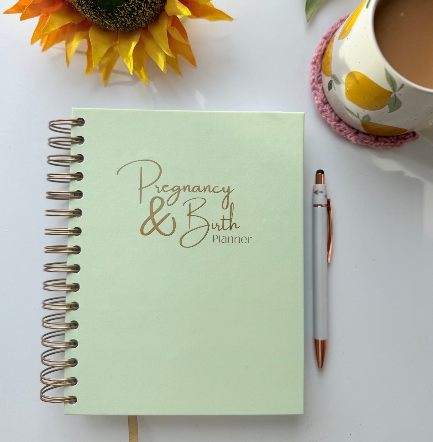 Pregnancy & Birth Planner