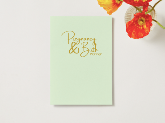 Pregnancy & Birth Planner